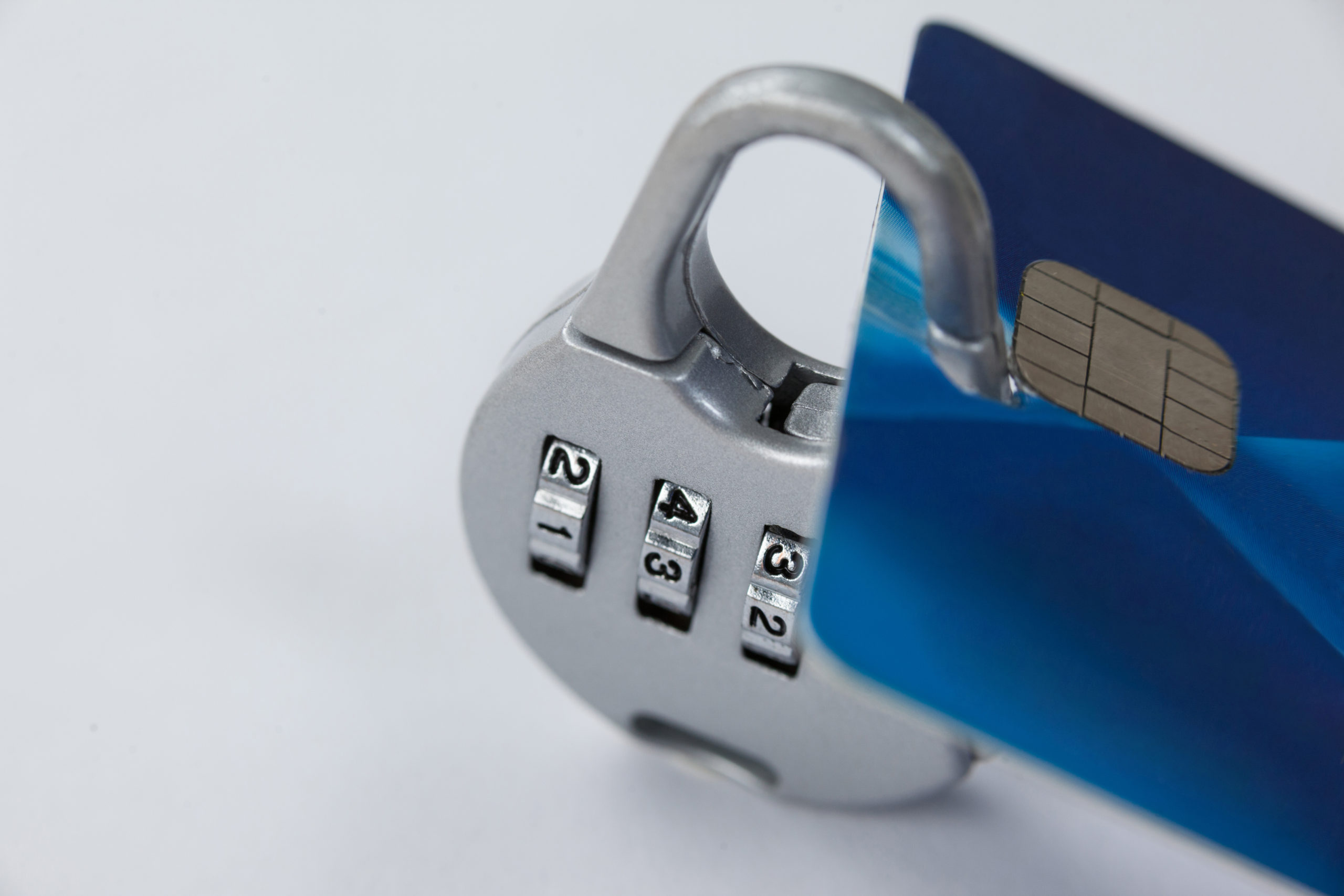 Solved: Nymbus Llc Paypal Chargeback – Easy Steps To Success - 7v3h9q6